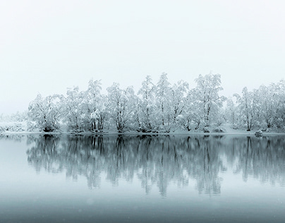 В Калифорнии кражи роботов становятся новым трендом