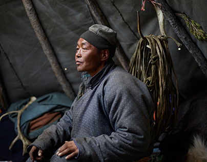 В Петербурге состоялось заседание Экологического совета