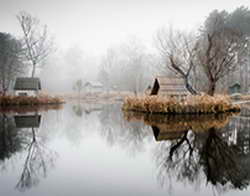 Названы два симптома деменции, которые проявляются ночью