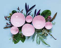Брянский губернатор наградил полицейских на заседании коллегии УМВД