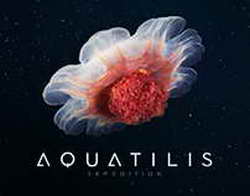 Введение пластика в асфальт может помочь дорогам служить дольше