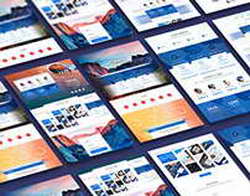 В ожидании полосатых новосёлов: в Ленинградском зоопарке этим летом появится амурский тигр
