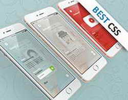 Компания Rockwool передала 600 млн рублей на поддержку участников СВО