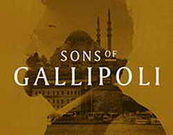 Китайский гибрид оказался вне закона для своих владельцев