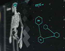 Владимир Путин назвал Мадагаскар одним из главных партнеров России в Африке