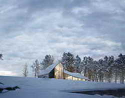 55% американских подростков использовали ИИ для создания изображений сексуального характера