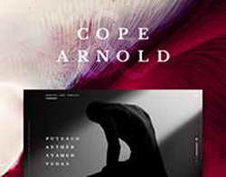 Из железа можно вырастить хоть розу, хоть лотос: московский художник обрамляет своё творчество в металл