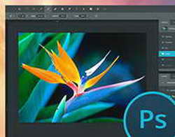 Больше тяпкой на даче не машу: нашла на Ozon совсем другой инструмент - сэкономил мне часы дачной работы