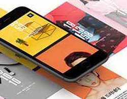 Ушастые соседи: в квартире петербурженки поселилось больше полутысячи зайцев